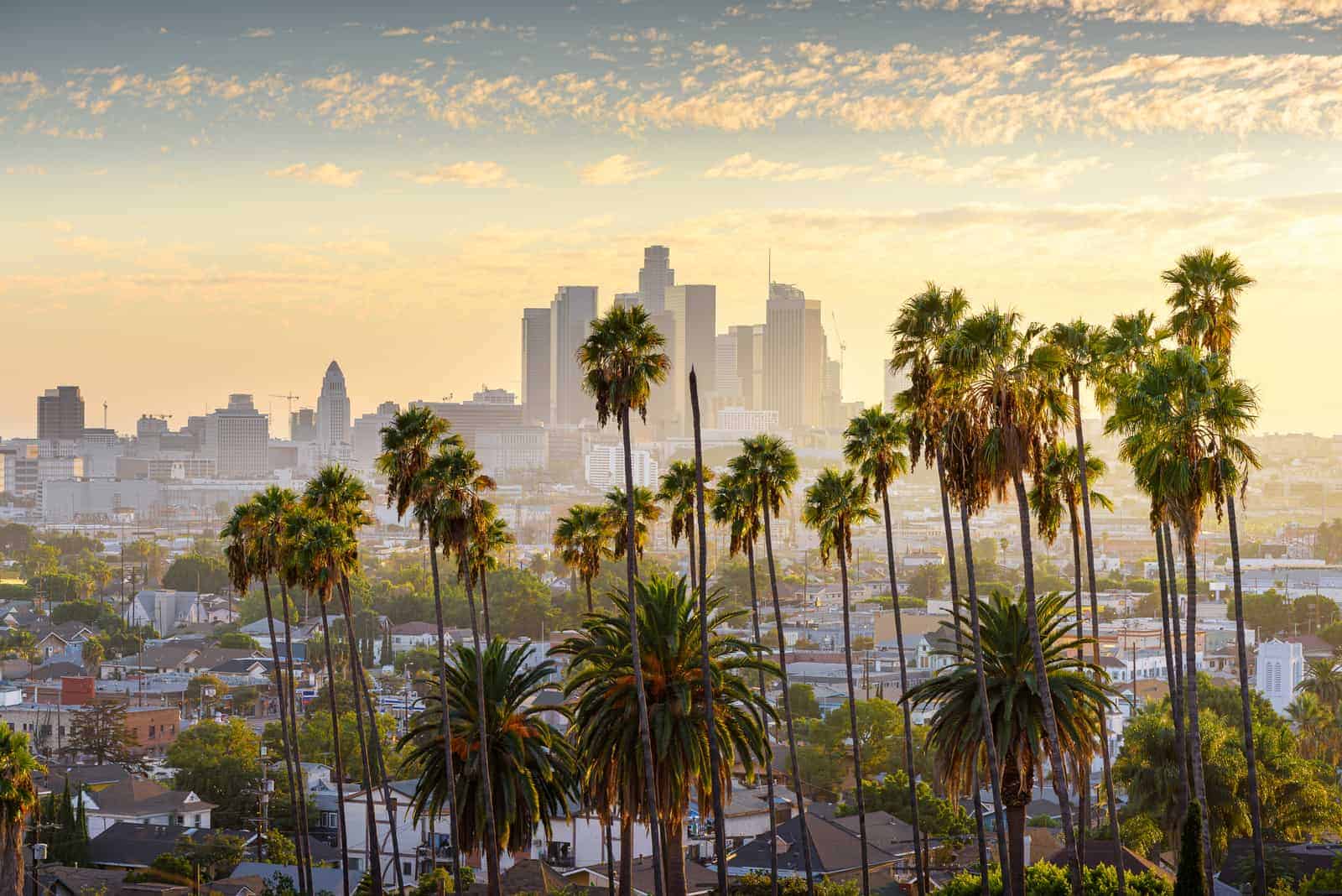 Where to Get a Real Estate License In California