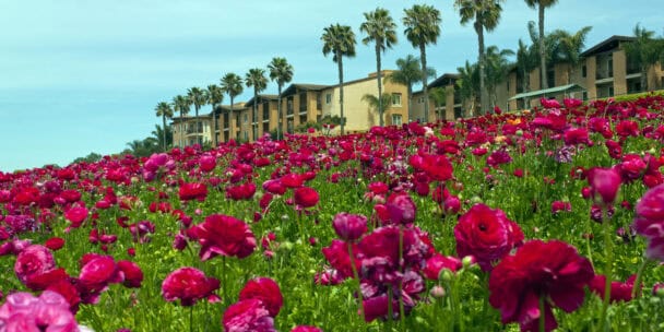 Maximize Your Earnings With These “Spring Effect” Real Estate Tips
